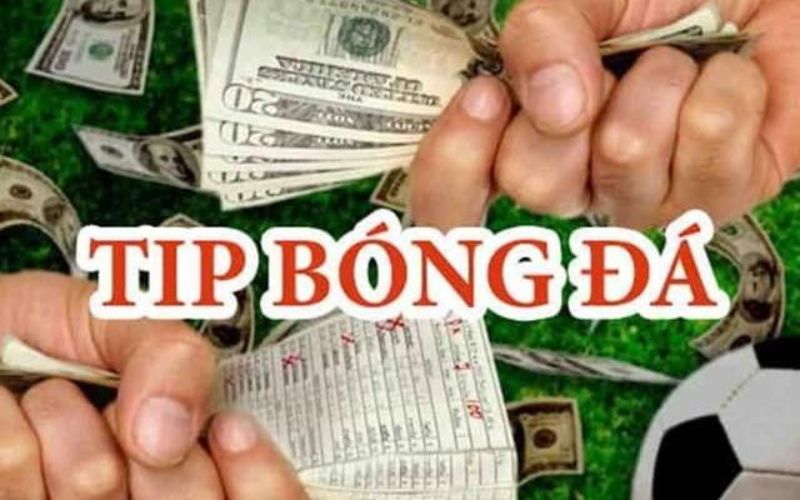 Sẵn sàng trả phí để mua thông tin quan trọng