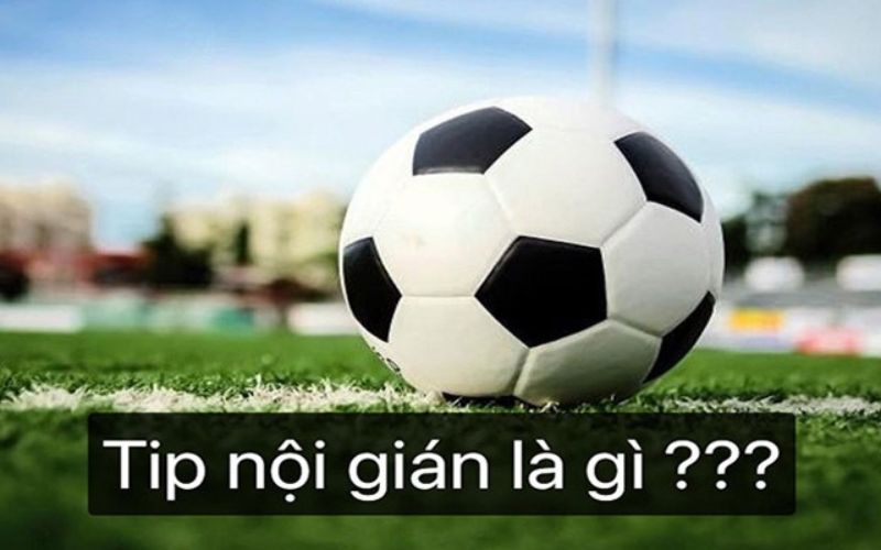 Tip nội gián bóng đá là nguồn tin mật quan trọng