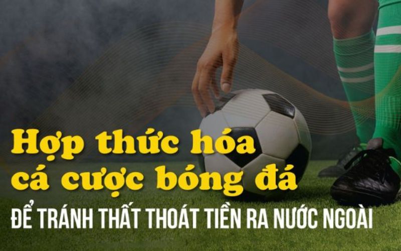 Các quy định được nới lỏng hơn trong năm 2024