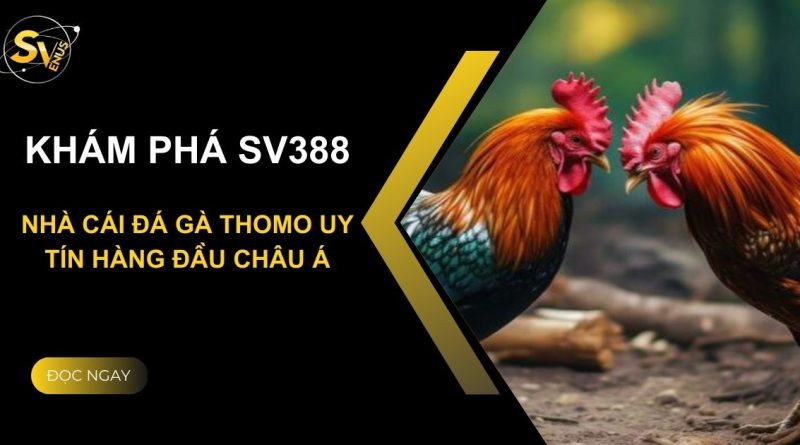 Khám phá SV388 – Nhà cái đá gà Thomo uy tín hàng đầu Châu Á