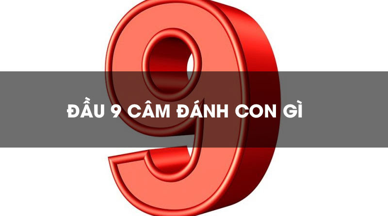 Bí quyết soi cầu lô đầu 9 câm hiệu quả từ các cao thủ