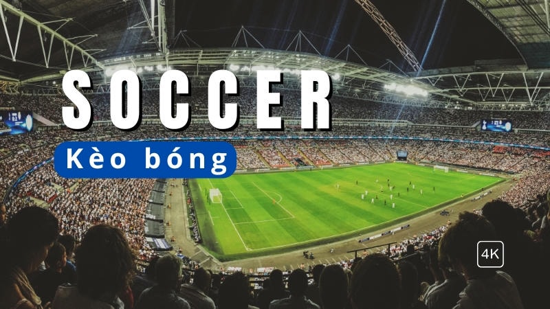 Tỷ lệ cược bóng đá và tài xỉu trên BY88 là gì?