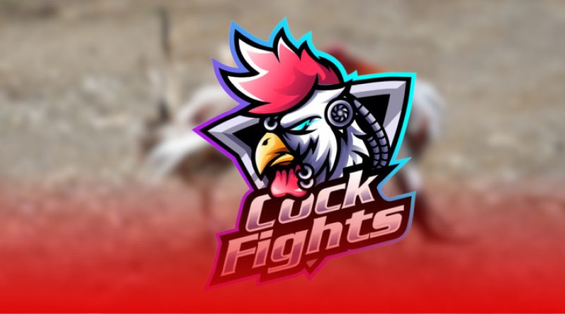 Miễn trừ trách nhiệm Sabong67 – Quy định quan trọng cần nắm