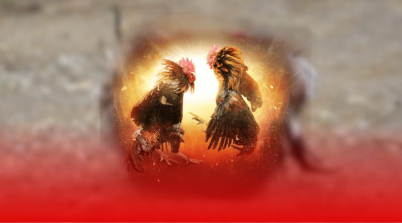 Miễn trừ trách nhiệm Sabong67 – Quy định quan trọng cần nắm